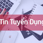 Kế toán, Kiểm toán
